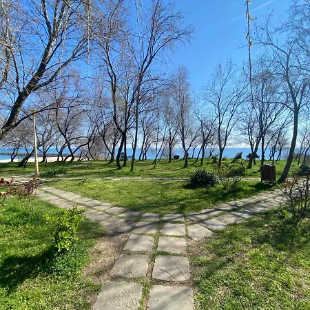 Apartment Rotterdam Constanta